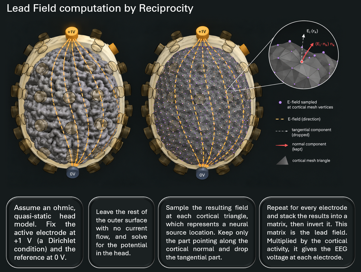 Lead fields by reciprocity
