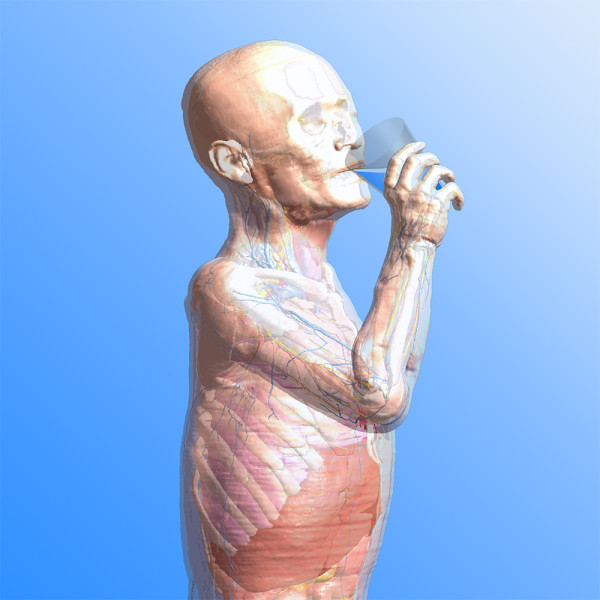 Release of Tissue Properties Database V5.0