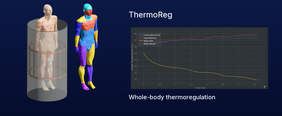 ThermoReg: regional thermal model and temperature response